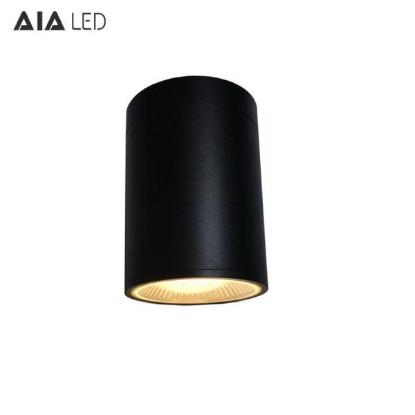 IP65 waterproof modern design ceiling mounted 15W COB LED downlight&outdoor LED down lamp