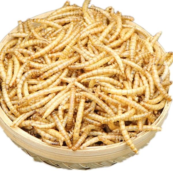 Feed Additive Worm Meal Package 8.35kg/bag Raw Material Sourced from Mealworm
