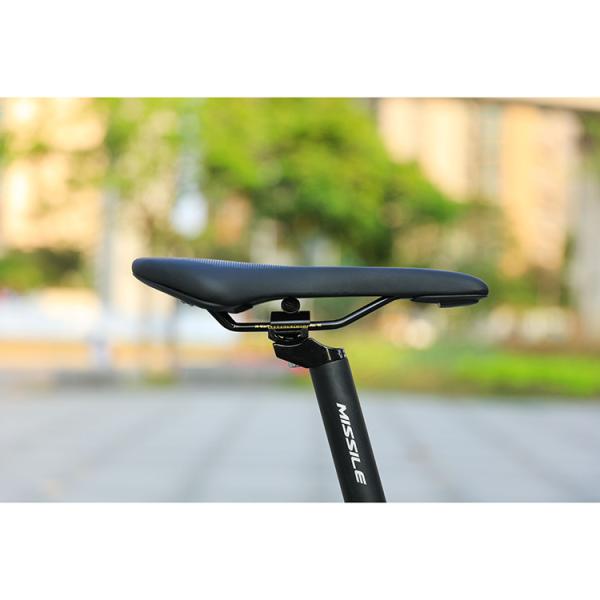 29er Speed Mountain Bike com moldura personalizada de fibra de carbono e roda dianteira TEN-M601 Crankset