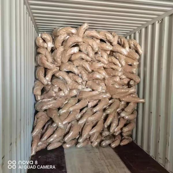 steel Front Nudge bar offroad bull bar 4x4 bumper For toyota fortuner 2016+