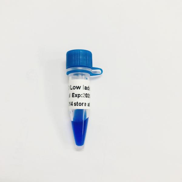 100bp 300bp LD Low Ladder DNA Marker Electrophoresis
