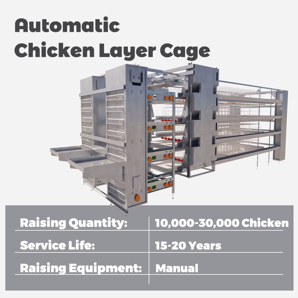 H Section Steel Galvanized 4 Tiers Poultry Farm Cage for Chicken Layer and Broiler