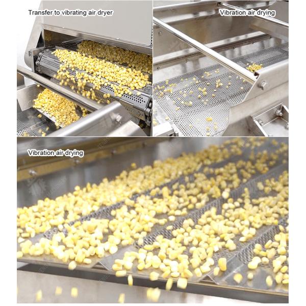 Streamline Your Manufacturing Process with Our Advanced Fruit And Vegetable Processing Line