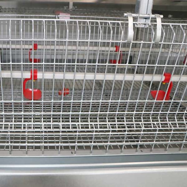 195 * 50 * 35CM Baby Chick Cage , Automatic Battery Cage System Low Disease