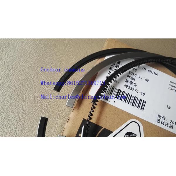 Chongqing  K19 diesel engine piston ring 4955976,2881745