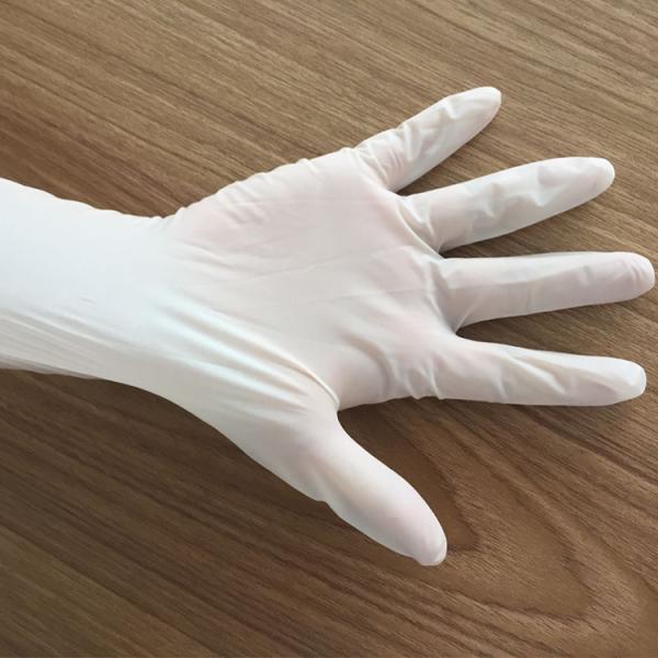Free Samples Medical Gloves Surgical Latex Examination Gloves Prices