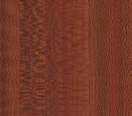 Whitewood Zebrawood Wood Effect Adhesive Film Cassia Siamea Merbau Platanus