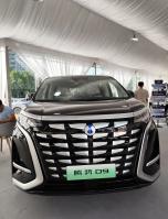 Tengshi 2024 EV 600KM Tração nas quatro rodas Modelo de luxo MPV de 5 portas e 7 lugares