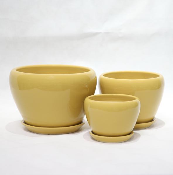 Stylish And Functional Ceramic Pots Perfect For Any Plant And Any Space