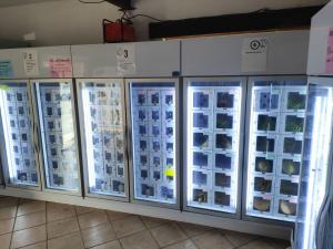 Android 11 小規模農場生産者向けの卵配給機 24/7の便利性と効率性