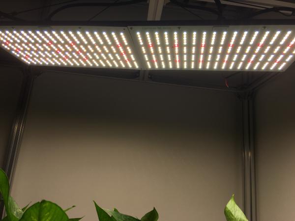 Greenhouse 2.7umol/J UV LED Grow Lights Quantum Board LM301B+UV WiFi-Controlled