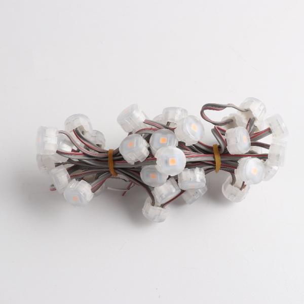 Éclairage de point extérieur LED pour la décoration de Noël Haute luminosité 0.3W 3PIN Connecteur JST