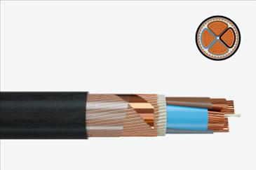 Shielding for Reliable Performance: Understanding Feichun Type MGCG Shielded Marine Cables