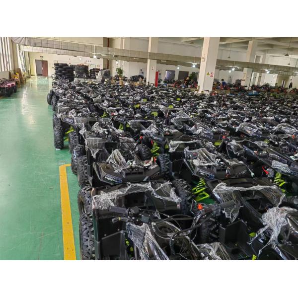 200CC ATV 250CC ATV Adult ATV Quad Bike with Chain Drive and 1000W Electric Pull Start