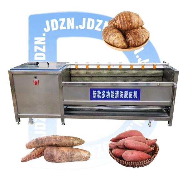 Maquina Lavadora De Fruta Ginger Potato Small Brush Cassava Wash and Peel Machine India