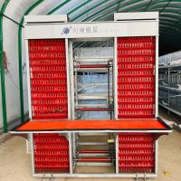Couleur argentée de poulet de cage commerciale galvanisée à chaud de couche