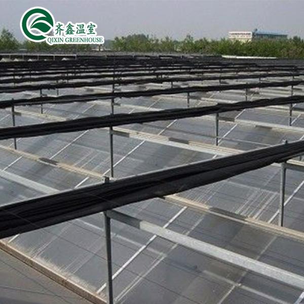 Large Steel Greenhouse Structure Shed Design With 150/200micro PE Film Covering