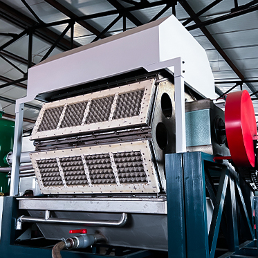 automatic cheap and fine egg tray making machine
