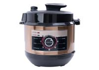 Cuiseur de riz multi électrique du quart 60mins du pot 5 de taille des CB 135mm de la CE