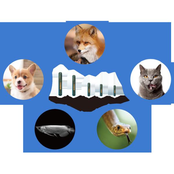Customized Rfid Syringe Pets Id Microchips ISO11784/85 FDX-B Painless Implantation