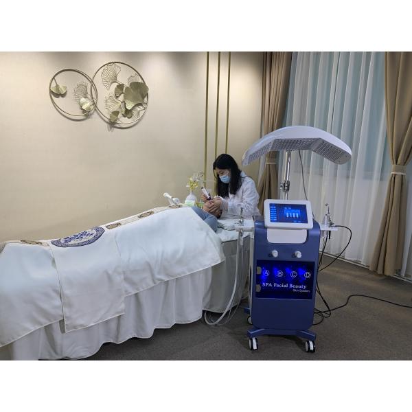 Hot Selling 8 Head Facial Beauty Machines Professional Portable Oxygen Facial Machine