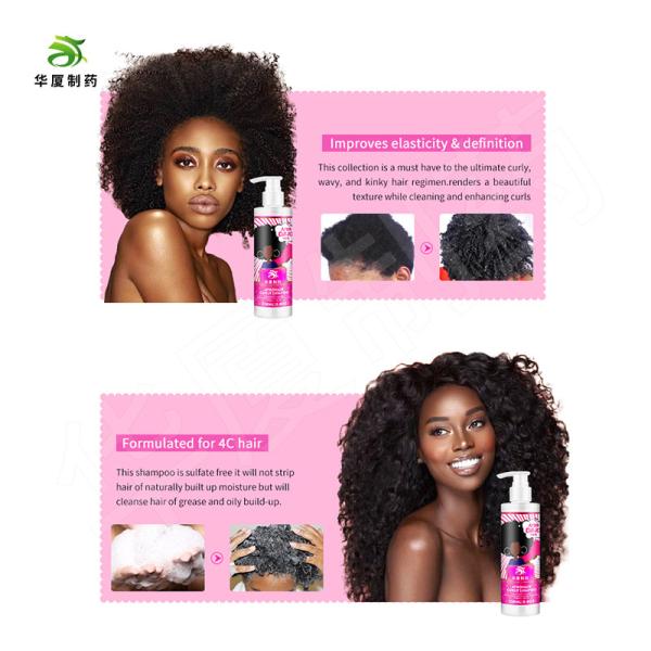 Private Label Coconut Hair Shampoo For Curly Hair Detangls Smooth