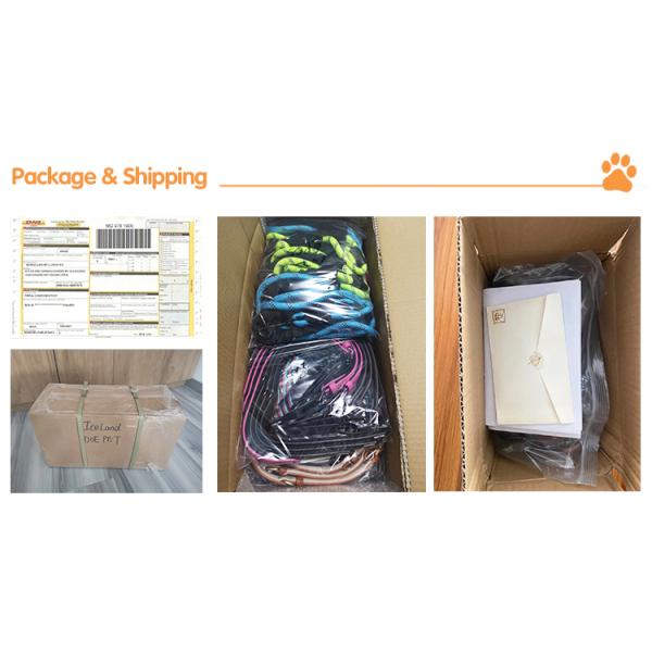 Waterproof Small Large Plastic Nylon puppy collar and leash , Multi Colors Dog Automatic Retractable Leash Custom