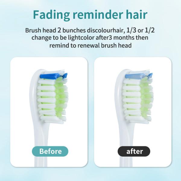 1200mAh Rechargeable Electric Toothbrush IPX7 Waterproof Multipurpose