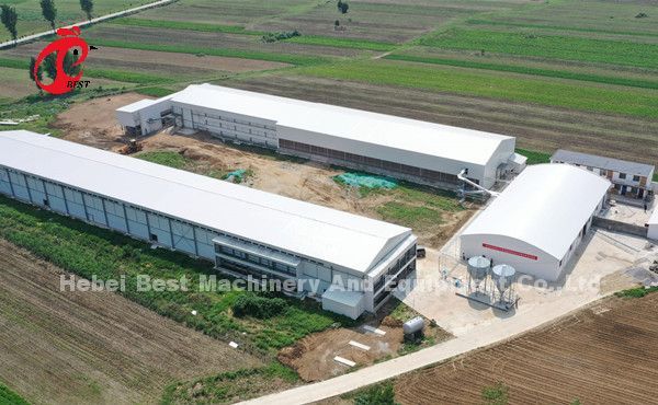 Система склада Нигерии наградная и делюкс птицы батареи клетки для цыплят Sandy слоя