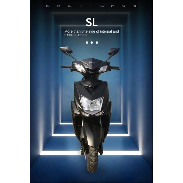 2024 800W 60v Cargo Delivery Motorcycle with Rear Hub Motor Steel Frame Lithium Battery