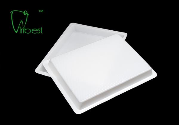 Small 19x14.8cm PP Plastic Dental Instrument Trays