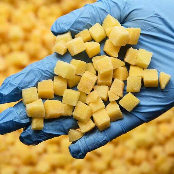 IQF Biológicos Pisco amarillo en cubitos Frutas congeladas en granel Envasadas Pulpa de agua Cubos enteros y mitades Sabor dulce Conservado