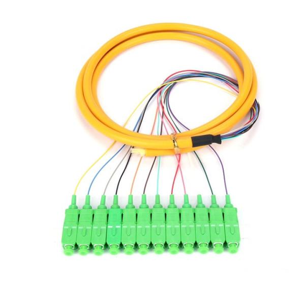 PVC / LSZH SM Fiber Optic Pigtail 12 Cores SCAPC Ribbon Pigtail Single Mode