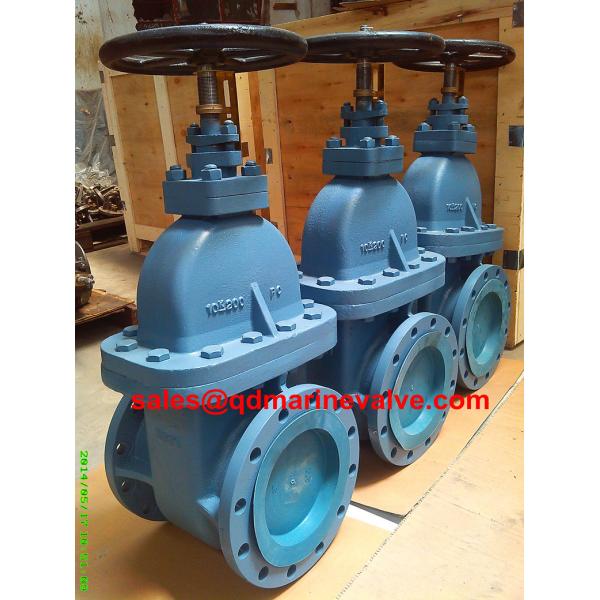IMPA 750828	F7364 10K250 CAST IRON GATE VALVE 10