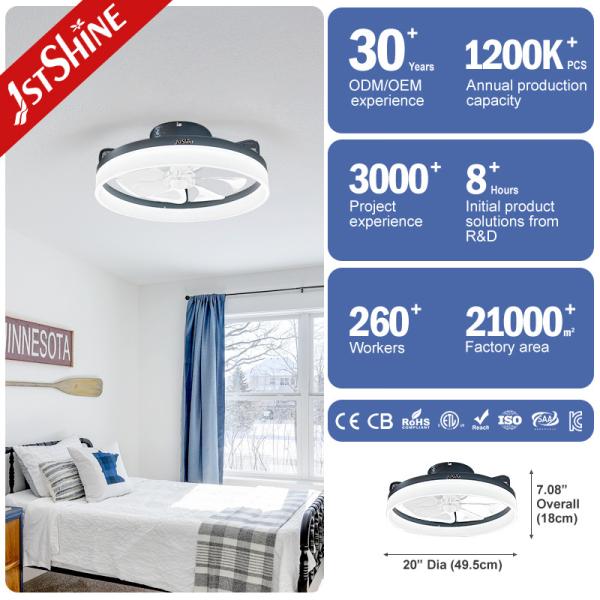 ABS Clear Plastic Blades 20 Inch Ceiling Fan with LED Light and Flush Mount Design