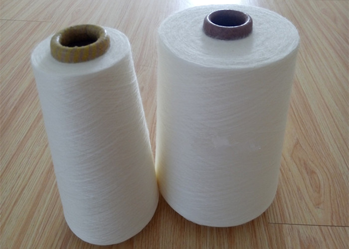 Raw White 33S /3 Acrylic Knitting Yarn , High Tenacity Ring Spun Acrylic Solid Yarn