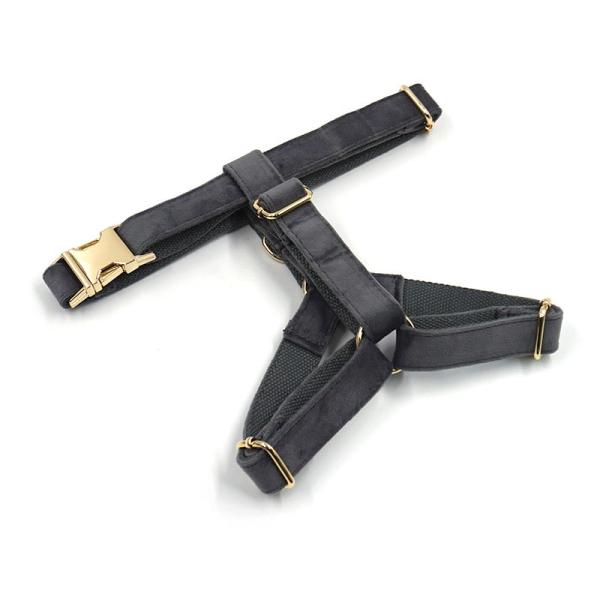 Dog Velvet Collar Leash Harness Set Luxury Collar Set Pet Leash Poop Bag OEM ODM Accepted