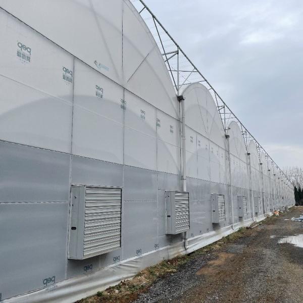 Aquecedor de plástico com telhado com arco, hidroponia com várias faixas, estufa agrícola para exploração agrícola