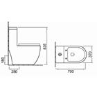 Bathroom Ceramic One Piece Toilet Modern Comfort Height Sanitary Wares