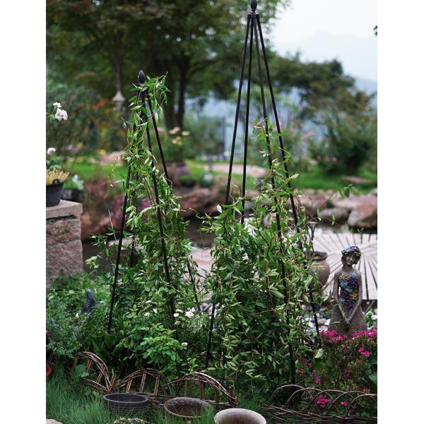 Garden Trellis for Potted Plants Outdoor Rustproof Coated Plant Cage Tower, Metal Shelf Climbing Supporting