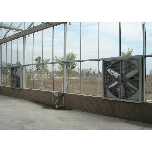 High Transmittance, Weld-Free VENLO Greenhouses For Premium Crop Seedlings & Growth