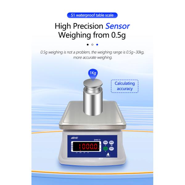 Battery 6V/5Ah 30KG Waterproof Scale with Double Layer Structure and Precision Sensor