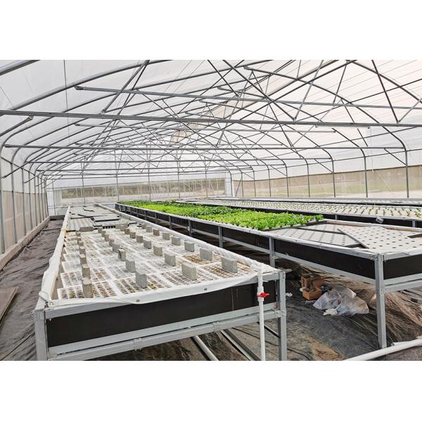 Cultivo de aguas profundas DWC Sistema hidropónico hidropónico vertical para la agricultura
