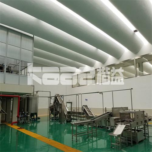 Industrial Strawberry Blueberry Raspberry Wolfberry Making Machine Processing Line