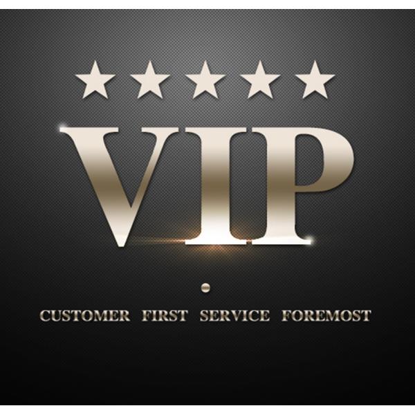 Stainless Steel Case Analog Display ladies metal watches high end Ultra Thin Dial