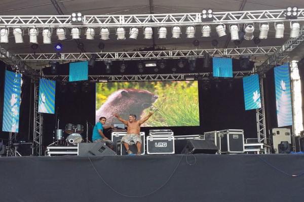 HD P3  / P4 Large Stage LED Display ,  P5 / P6 SMD Concert LED Screen