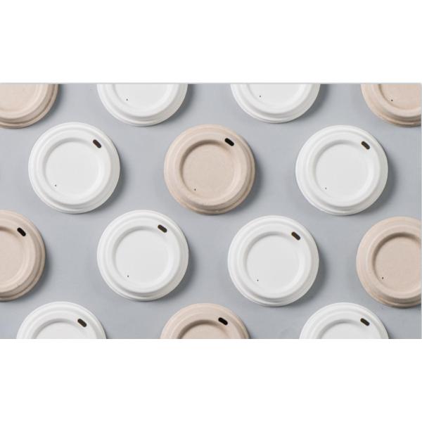 Biodegradable Pulp Molded Cup Lid Machine