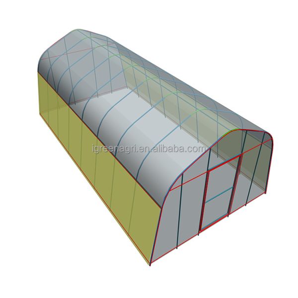 Galvanized Steel Frame Agricultural PE Film Low Cost Garden Green Houses for Plant Growing