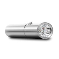 Portable 850nm Red Light Therapy Torch 660nm 630nm LED Light Therapy Pen