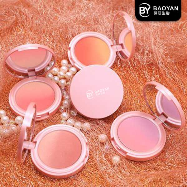 Multifunction Shimmer Matte Blusher Powder Multicolor
